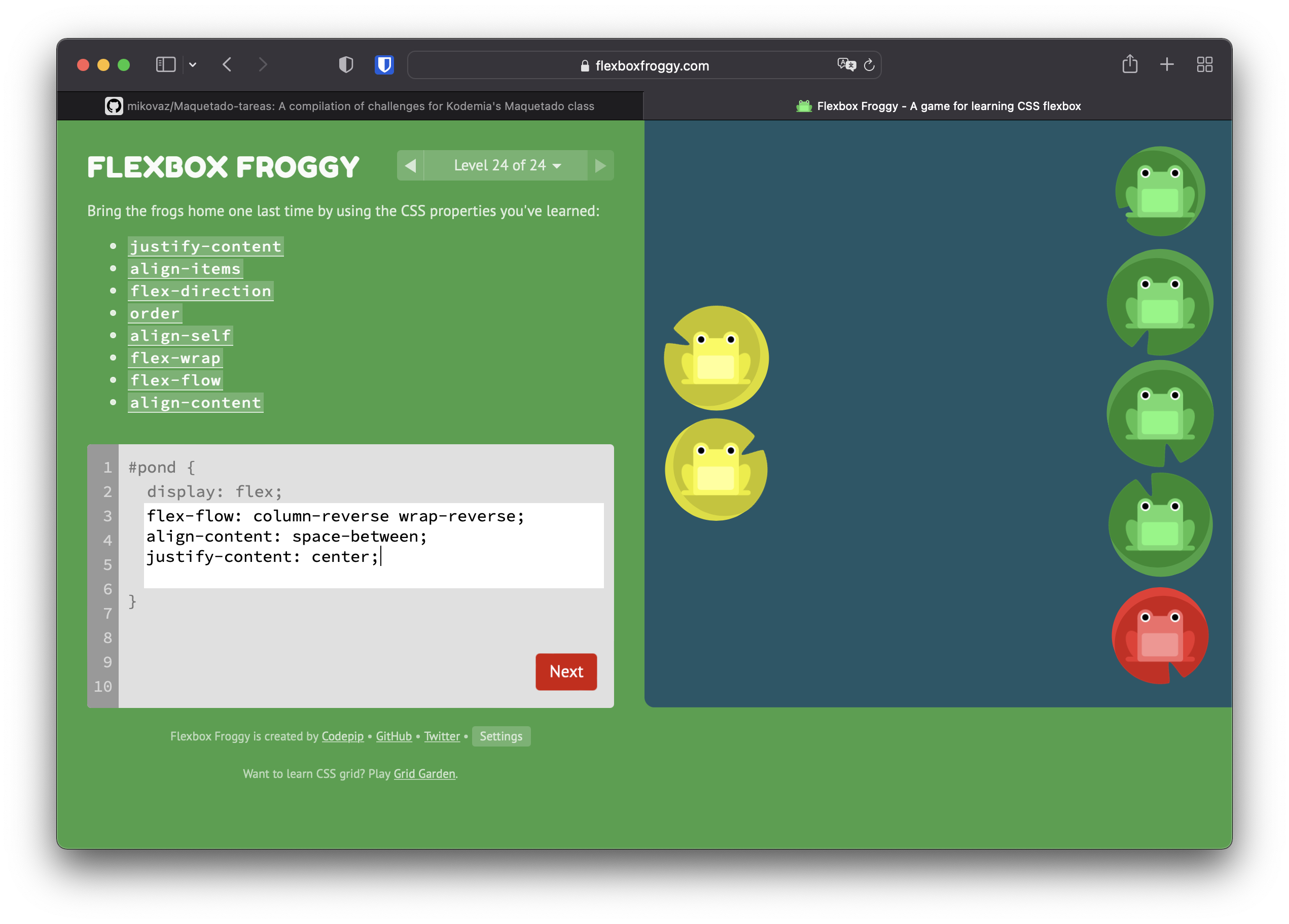 Screenshot de ultimo nivel de Flexbox Froggy