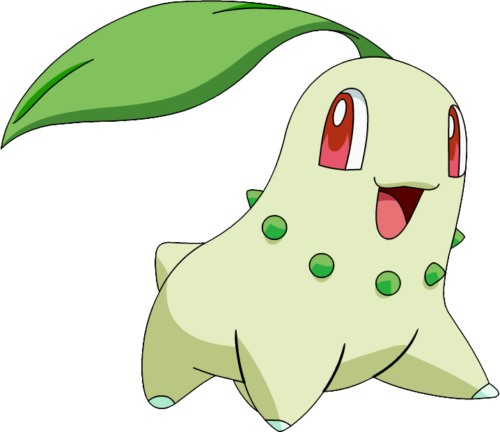 Chikorita